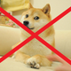 Illustration for article titled I HATE DOGE: A POEM